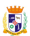 Escudo Combinado de Pelotas.png