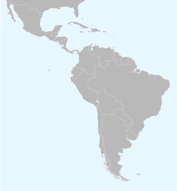 Supercopa Sul-Americana de 1991 (América Latina)