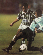 1995.08.02 - Palmeiras 5 x 1 Grêmio - Foto2.png