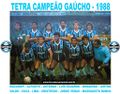 Equipe Grêmio 1988.jpg