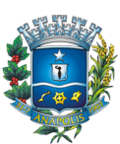 Grêmio Anapolino