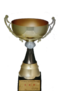 Troféu Copa Ano Novo de 1998.png