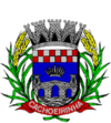 Escudo Seleção de Cachoeirinha.png