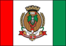 Bandeira de Flores da Cunha-RS-BRA.png
