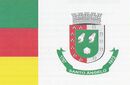 Bandeira de Santo Ângelo-RS-BRA.png