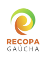 Logo - Recopa Gaúcha de 2019.png
