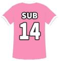 Modelo Camisa Sub-14 Feminino.png