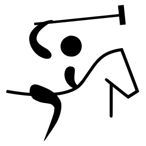 Arquivo:Pictograma Polo.png