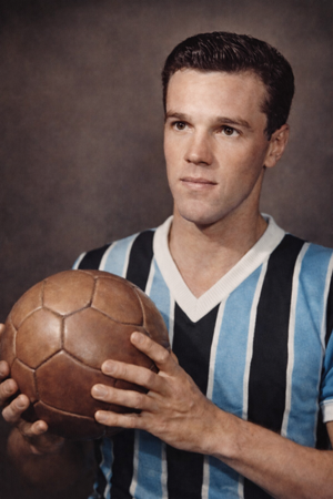 Arquivo:Paulo Ignacio Heineck.png