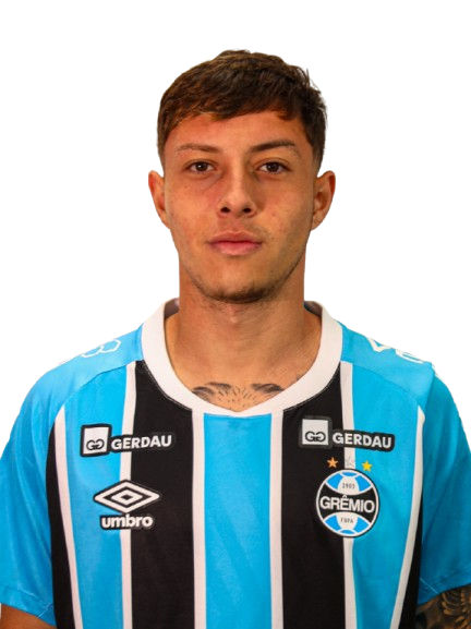 Arquivo:Natã Roehrig Barbosa.png