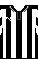 Cores do Botafogo