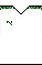 Cores do Palmeiras