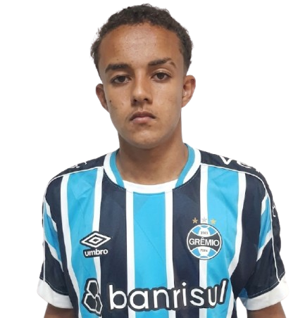 Arquivo:Arthur Henrique Rafael da Silva.png