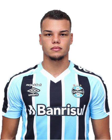 Arquivo:Gustavo Henrique Marins Silva.png
