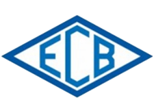 Escudo Benfica-MG.png