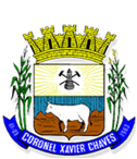 Escudo Seleção de Coronel Xavier Chaves.png