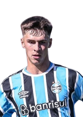 Arquivo:Frederico Lippert Neto Gomes.png