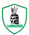 Arquivo:Escudo Miraguai.png