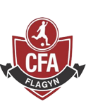 Escudo CFA Flagyn.png