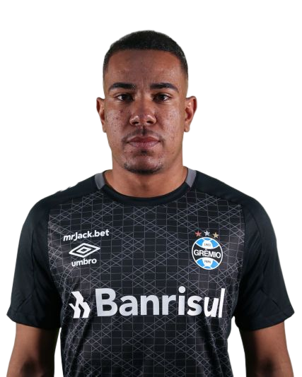 Arquivo:Hugo Henrique Nogueira de Souza.png