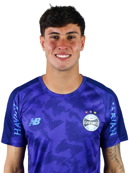 Arquivo:Gabriel Otávio Menegon.png