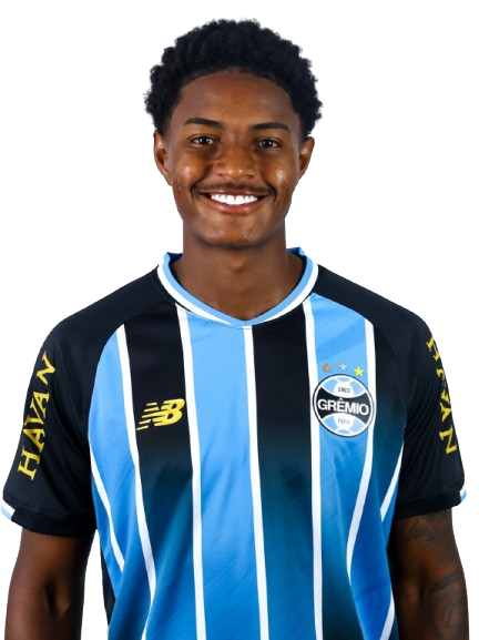 Arquivo:Riquelme Freitas dos Santos.png