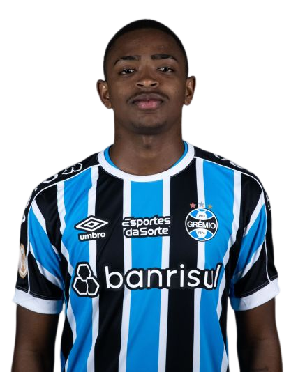 Arquivo:Ronald Barcellos Arantes.png