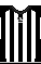 Cores do Botafogo-PB