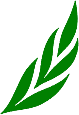 Arquivo:Atleta laureado.png