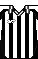 Cores do Botafogo