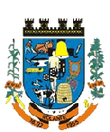 Escudo Seleção de Rolante.png