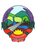 Arquivo:Escudo Seleção de Riozinho.png