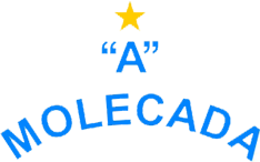 Arquivo:Escudo Molecada.png