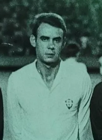 Saul Schmidt Mendes.png