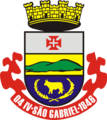 Escudo Seleção de São Gabriel.png
