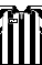 Cores do Botafogo