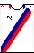 Cores do Bahia