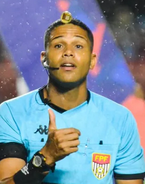 Arquivo:Flávio Roberto Mineiro Ribeiro.png