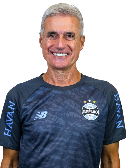 Arquivo:Luís Manuel Ribeiro de Castro.png