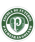 Escudo Escola Palmeiras Goiano.png