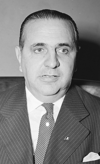 Arquivo:Paraílio Borba.png