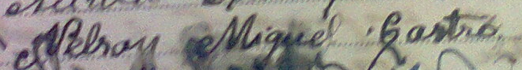 Arquivo:Nelson Miguel Castro - próprio punho.png