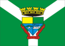 Bandeira de Sapucaia do Sul-RS-BRA.png