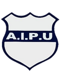 AIPU