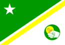 Bandeira de Pato Branco-PR-BRA.png