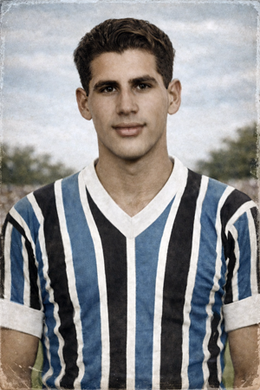 Wilfredo Silva Fajardo.png