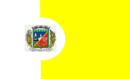 Bandeira de Cachoeira do Sul-RS-BRA.png