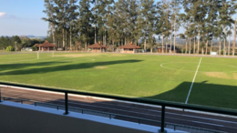 Estádio Albino Pasquali.png