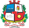 Escudo Seleção de Santana.png
