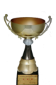 Troféu Copa Ano Novo de 1998.png